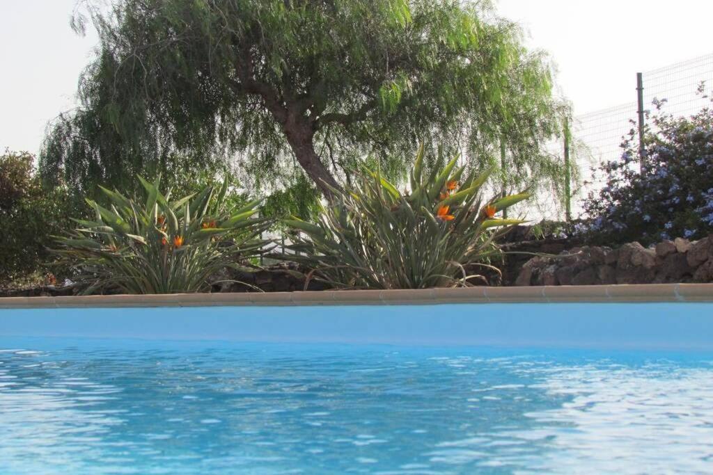 Heated & Shared Pool Villa Matriana 36B, North Shore Villas La Oliva Exterior foto